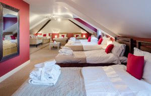 The Big Brother Dorm