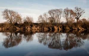 A winter view of the Severn